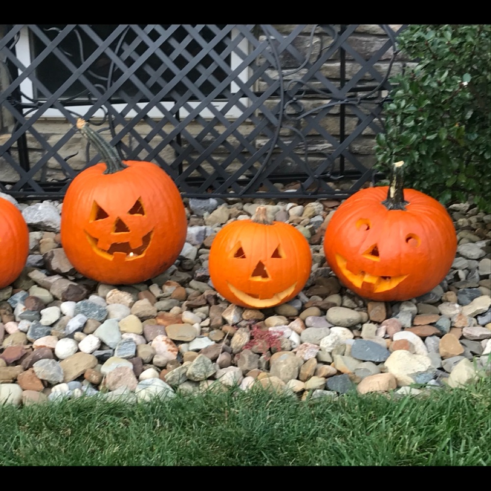 Meet your Posher, Laurel